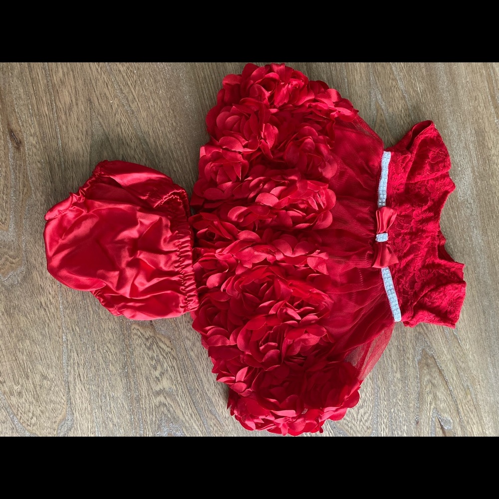 Nannette Baby Rose & Lace dress